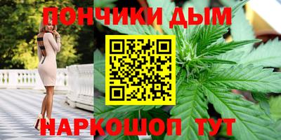 гашик Можга