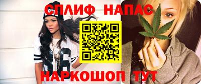 сатива Можайск