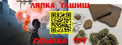 гашик Можга