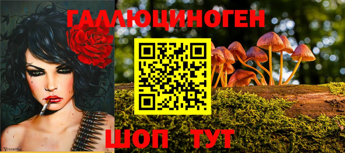 Галлюциногенные грибы ЛСД  Вход с VPN  Владикавказ 